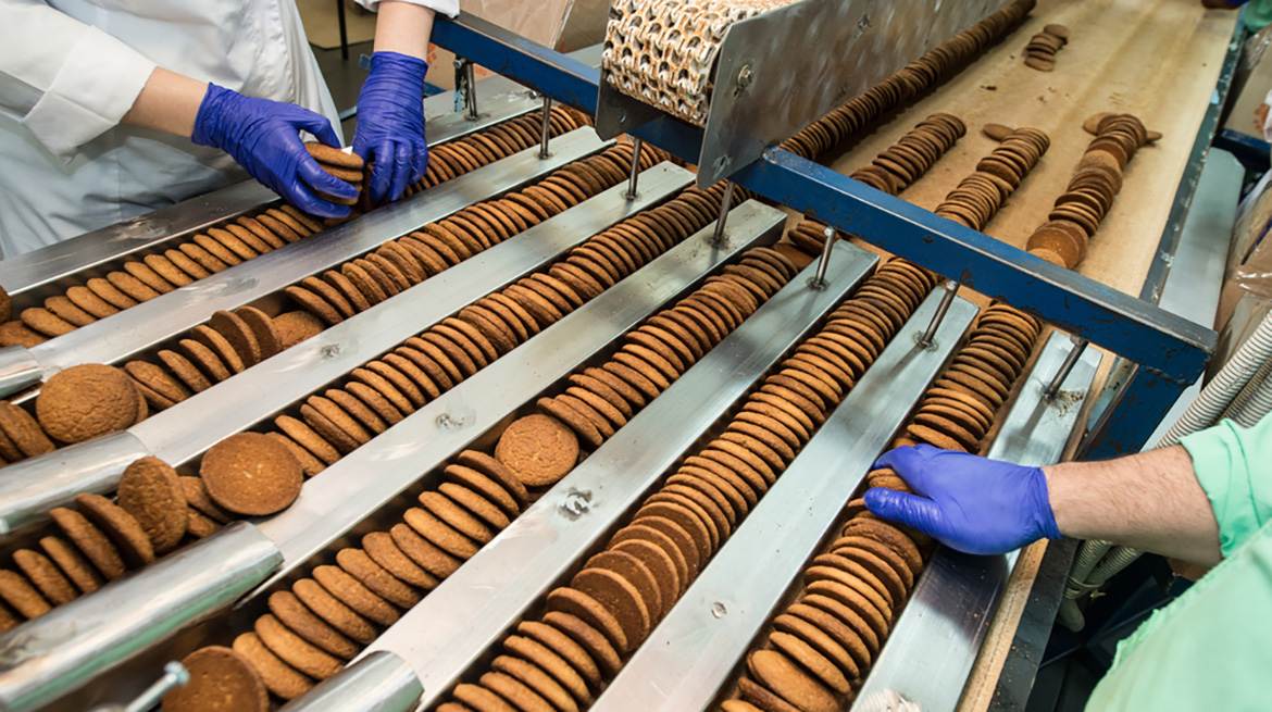 pakowanie sortowanie ciastek na produkcji praca 2025